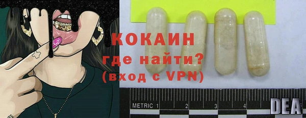 прущие грибы Гусь-Хрустальный