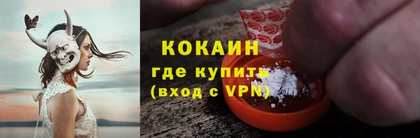 прущие грибы Гусь-Хрустальный