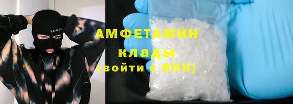 прущие грибы Гусь-Хрустальный