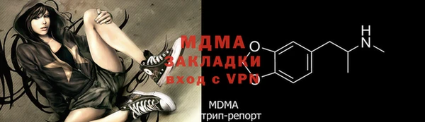 прущие грибы Гусь-Хрустальный