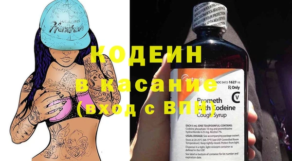 прущие грибы Гусь-Хрустальный