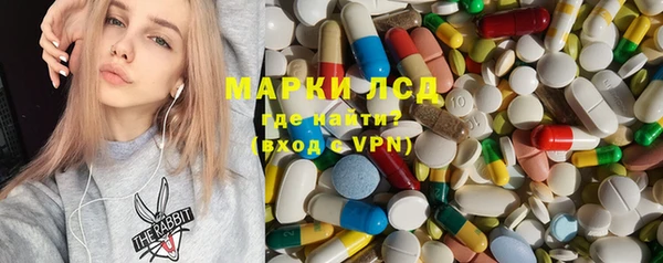 прущие грибы Гусь-Хрустальный