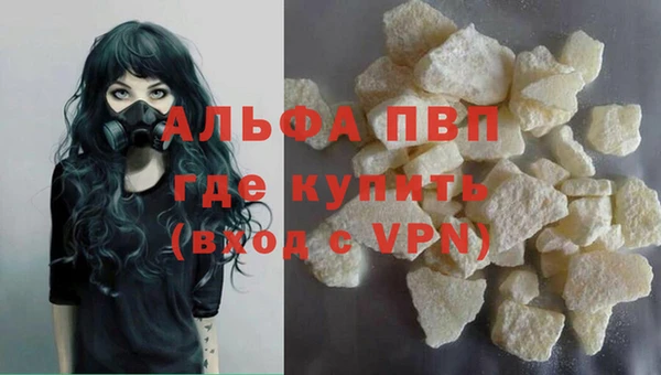 прущие грибы Гусь-Хрустальный