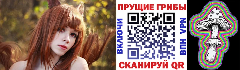 Псилоцибиновые грибы Magic Shrooms  Купить закладки  Бийск 